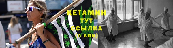 прущие грибы Магас