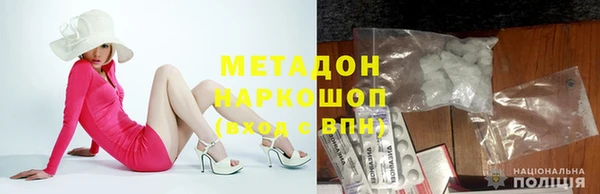 прущие грибы Магас