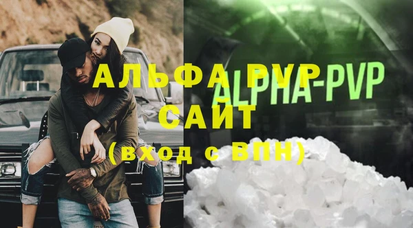 прущие грибы Магас