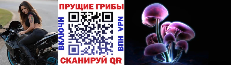 купить  цена  Челябинск  Псилоцибиновые грибы мухоморы 