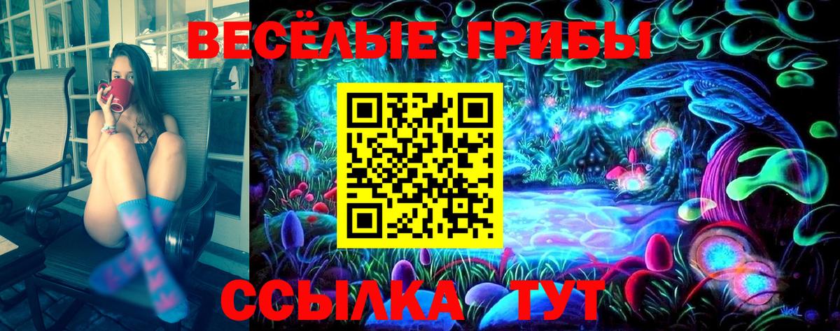 Псилоцибиновые грибы мухоморы  Вход с VPN  Челябинск  Галлюциногенные грибы GOLDEN TEACHER 